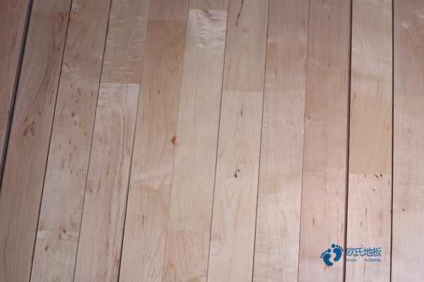 楓樺木運動籃球木地板價格便宜