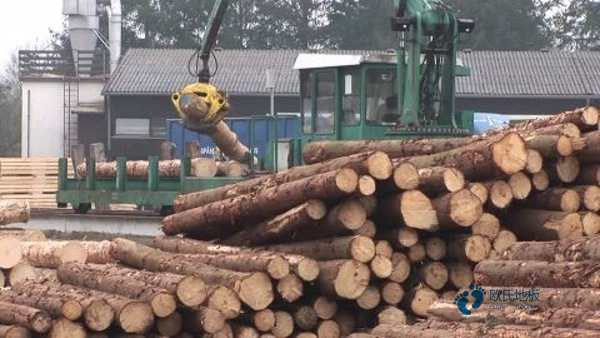 籃球場木地板施工工藝1