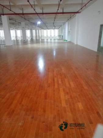 楓樺木運動籃球木地板價錢