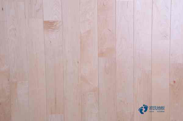 室內(nèi)體育運(yùn)動木地板3