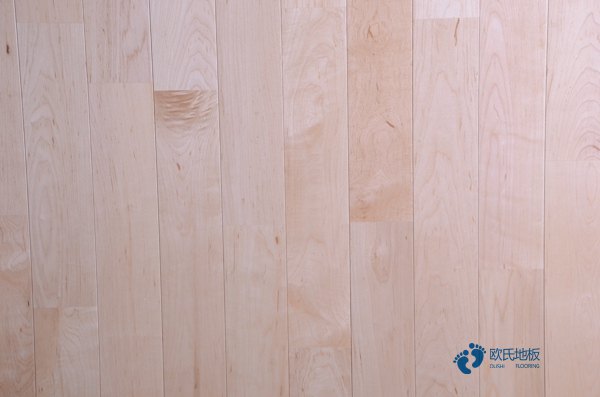 室內(nèi)體育運(yùn)動木地板1