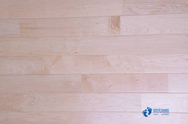 室內(nèi)體育運(yùn)動木地板2