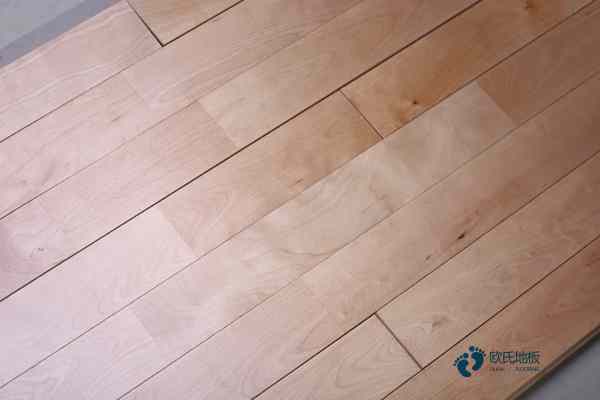 籃球場(chǎng)木地板尺寸3