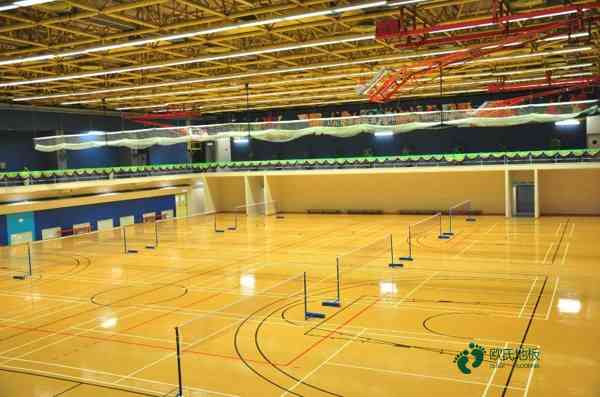 國標(biāo)運(yùn)動(dòng)籃球木地板價(jià)錢